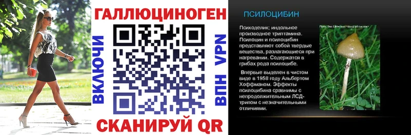 мега ссылки  где можно купить   Нарьян-Мар  Галлюциногенные грибы Psilocybe 